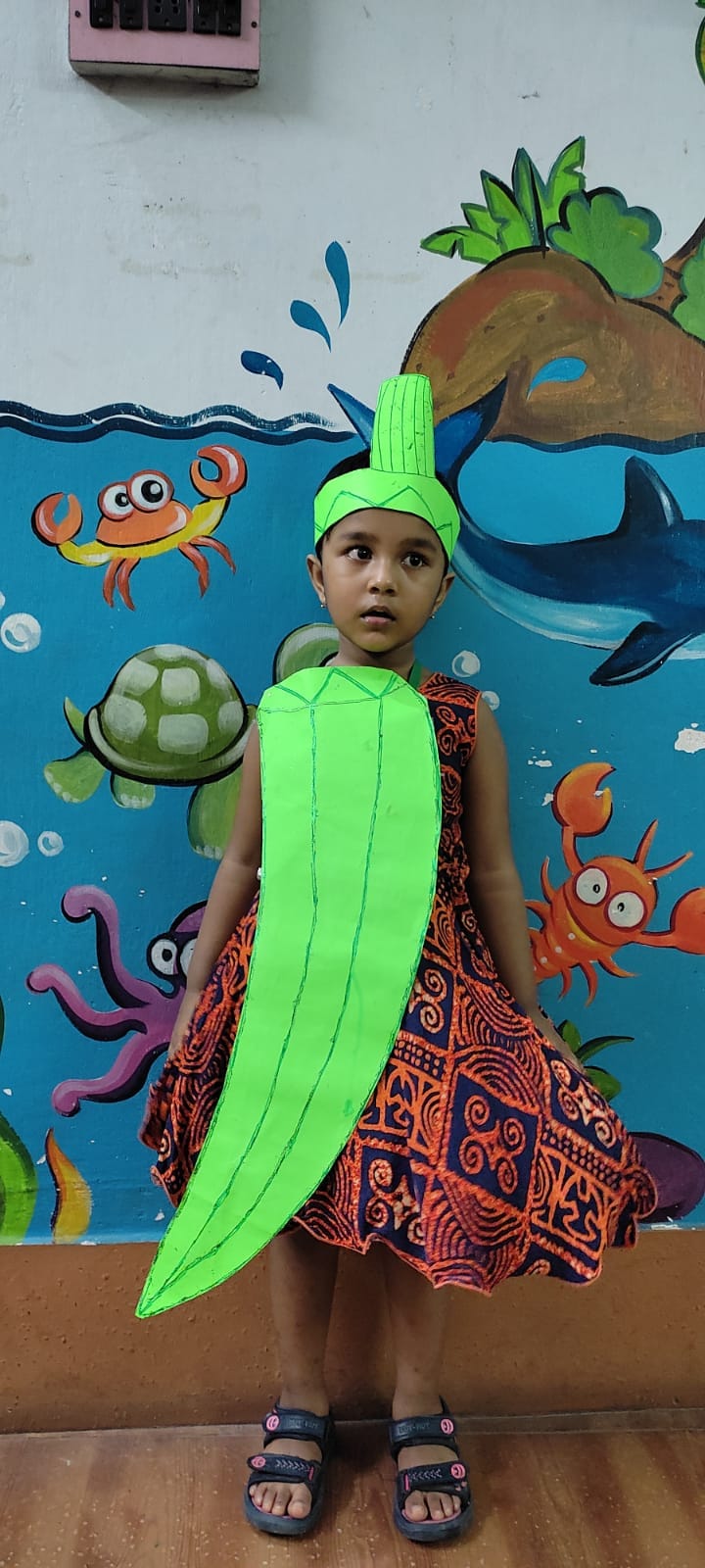 Fancy Dress Compitition 2022