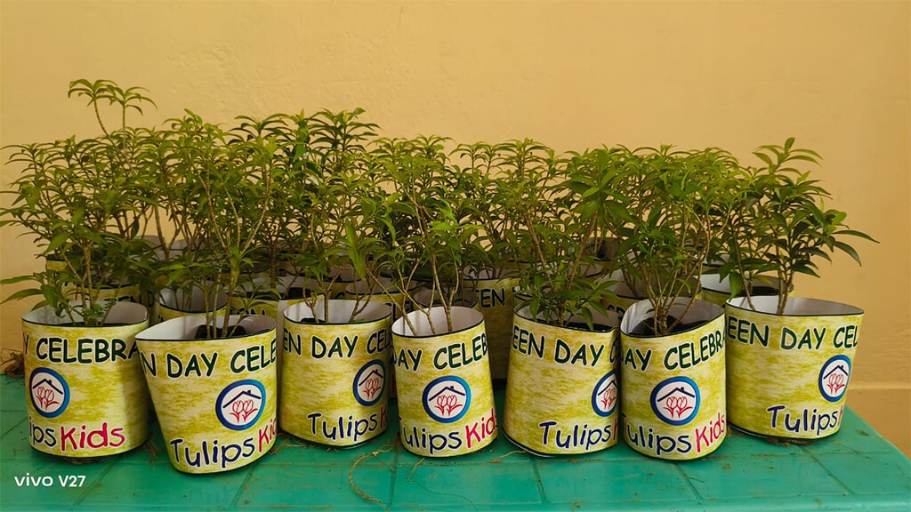Green Day 2023